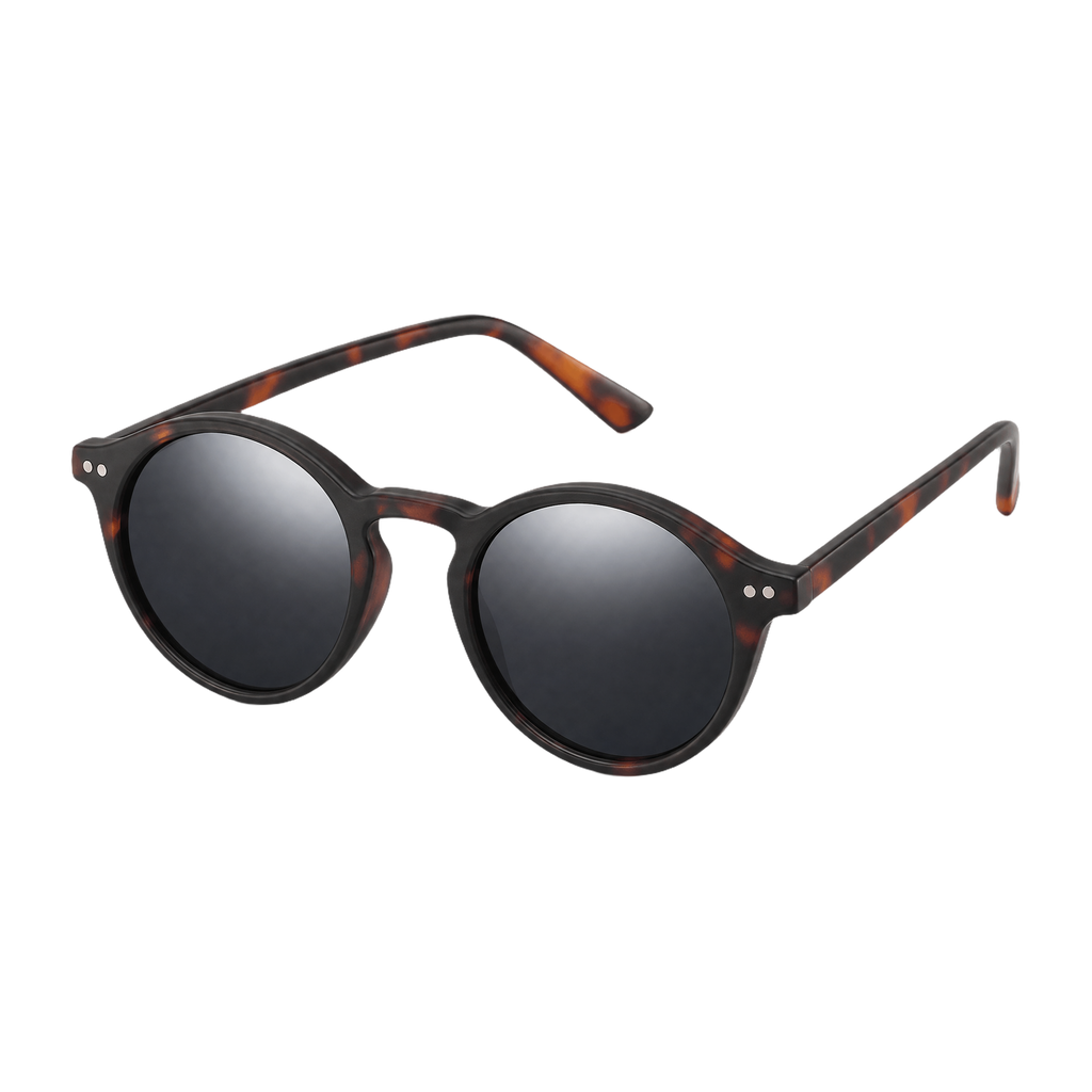 MV Rogue — Browline Sunglasses hero
