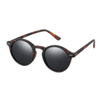MV Rogue — Browline Sunglasses hero
