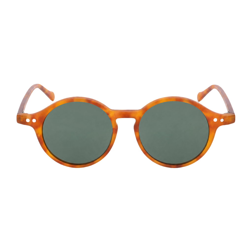 MV Cove — Browline Sunglasses front