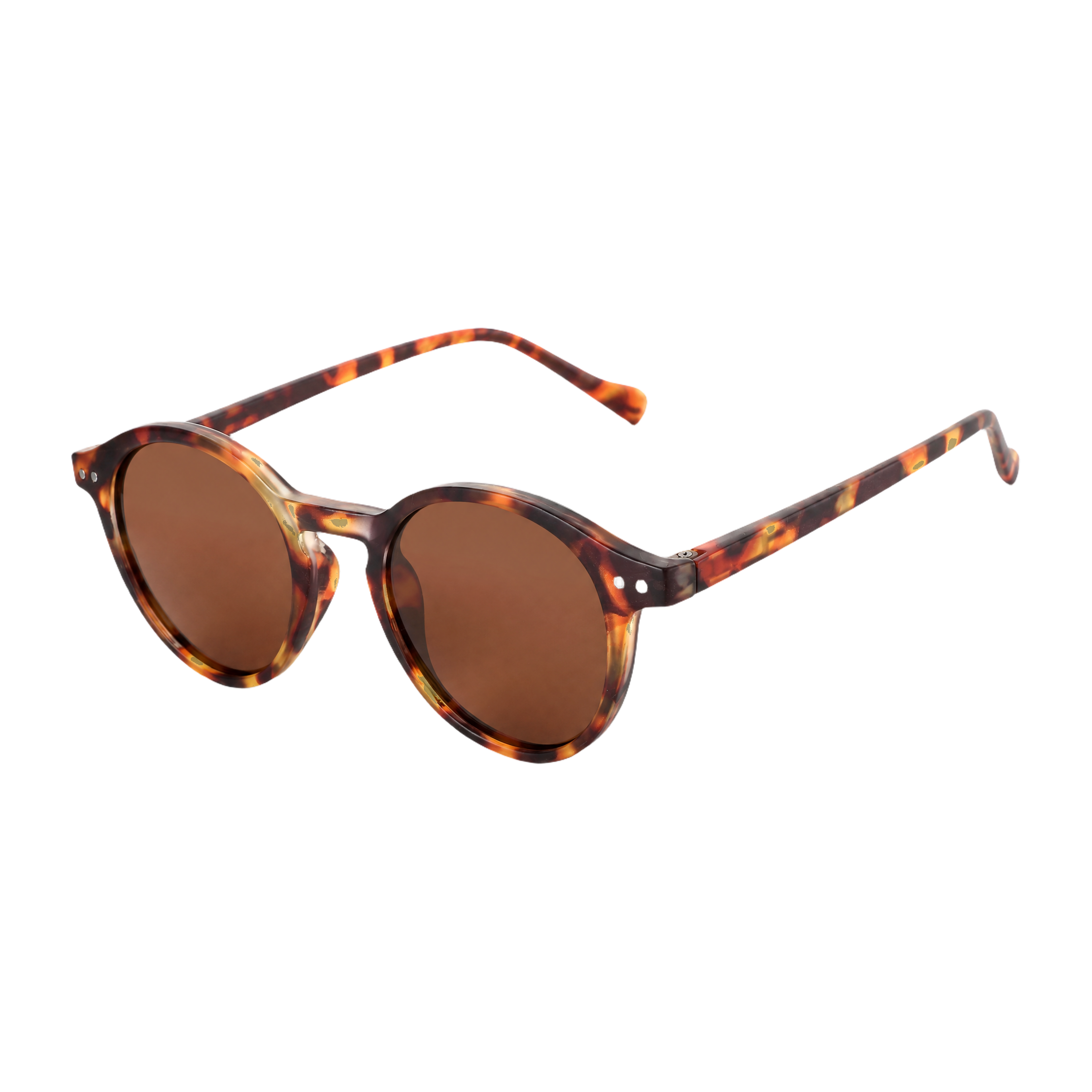 MV Cove — Browline Sunglasses Brown Lens