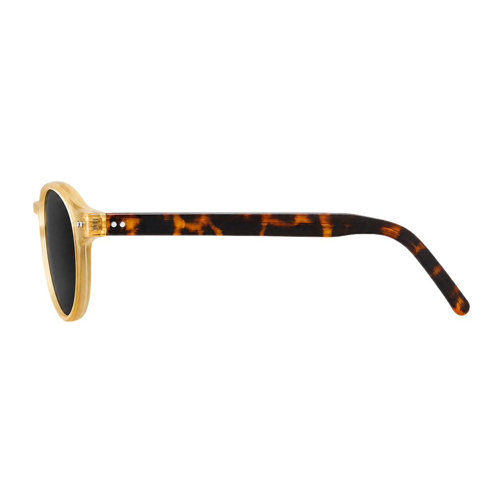 MV Ridge — Sunglasses side