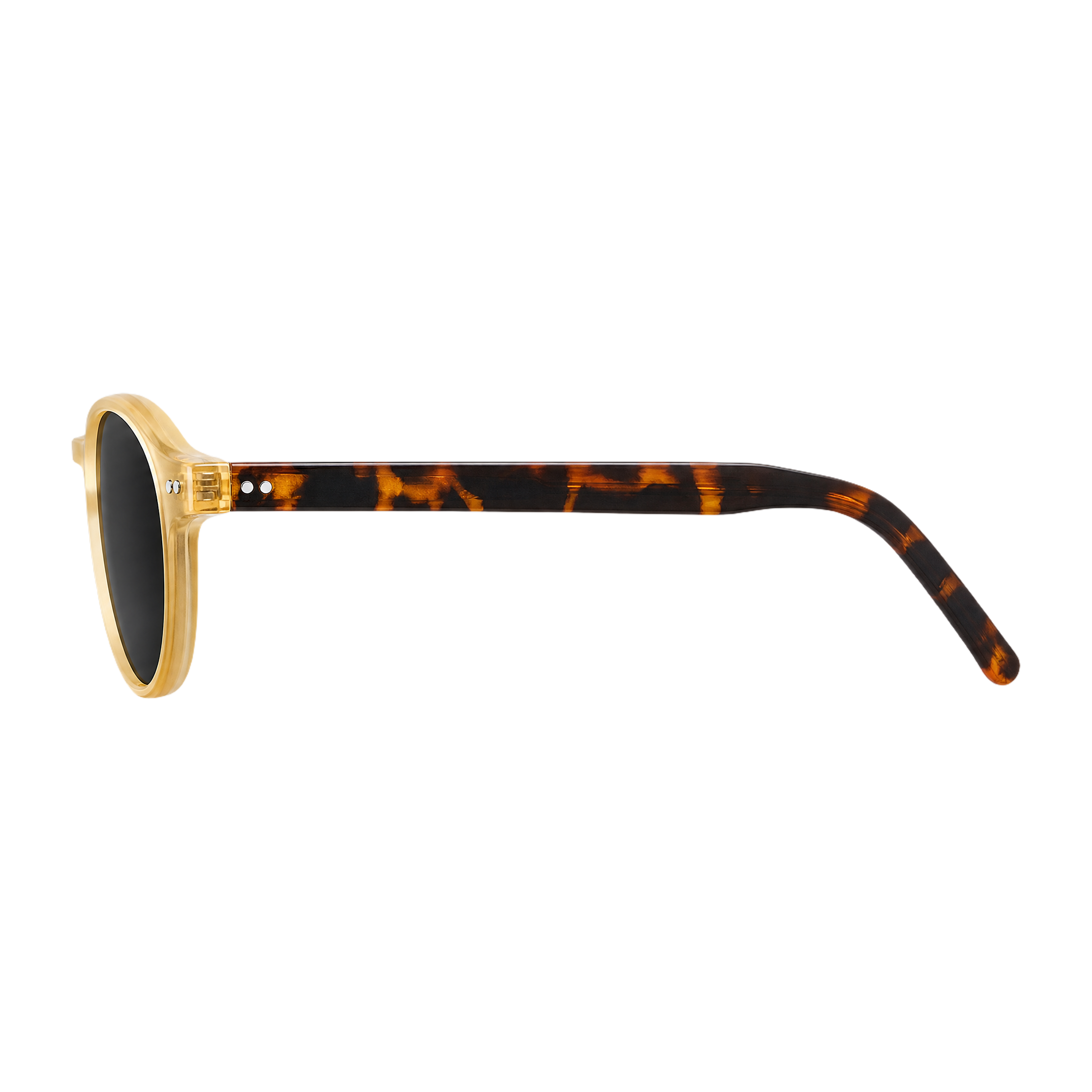 MV Ridge — Sunglasses side