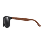 MV Regent — Browline Sunglasses side