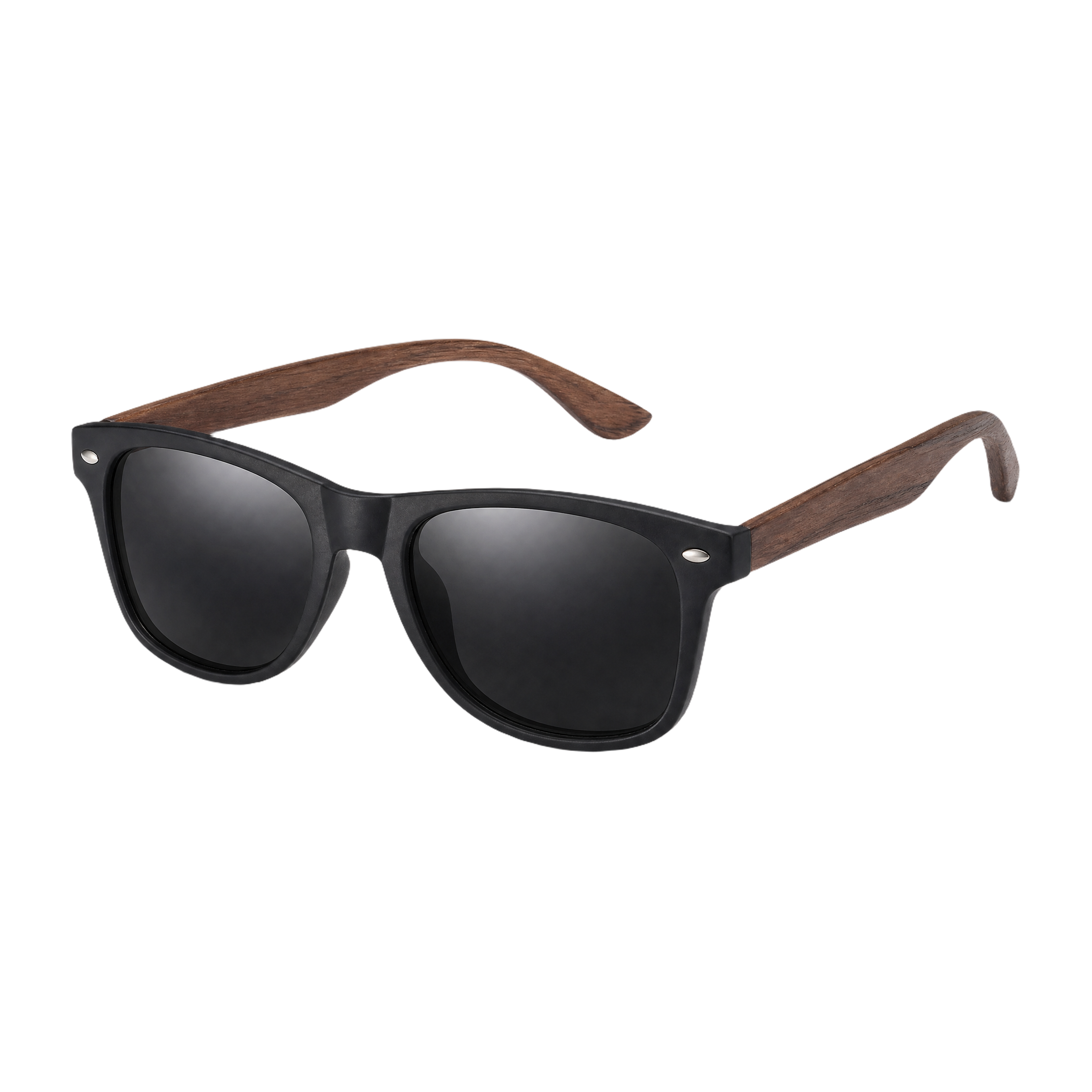 MV Regent — Browline Sunglasses hero