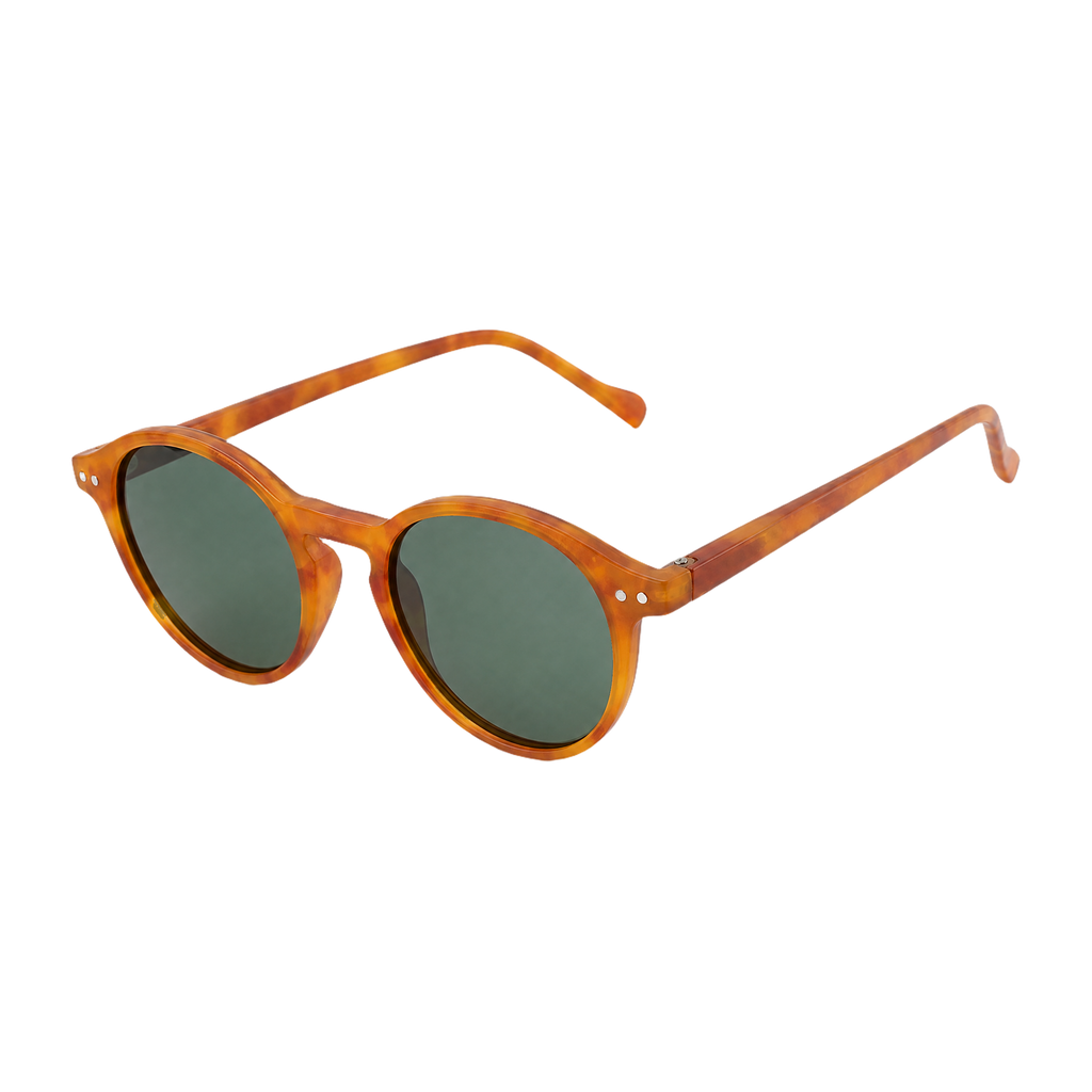 MV Cove — Browline Sunglasses hero