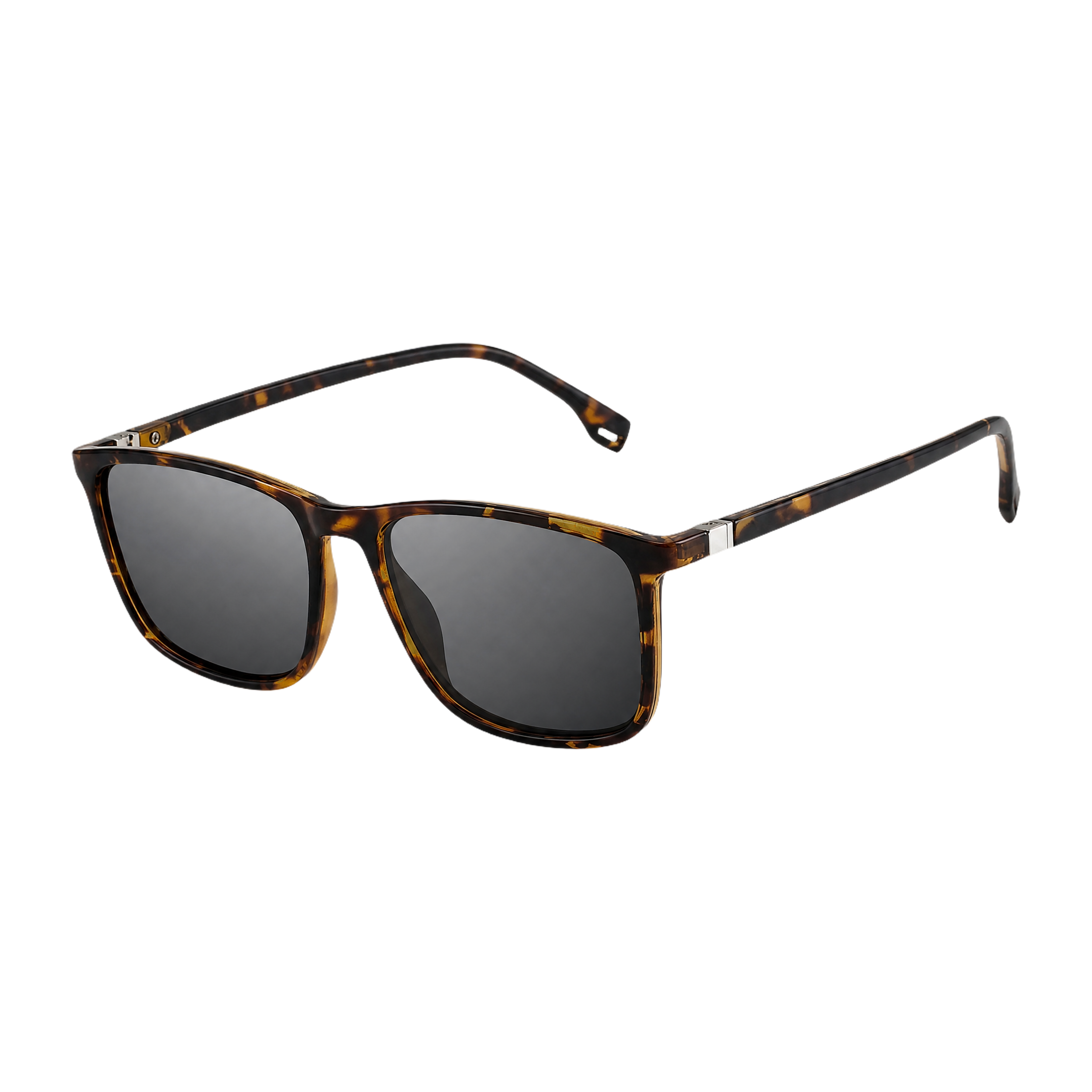 MV Cortez — Browline Sunglasses Leopard