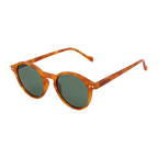 MV Cove — Browline Sunglasses Green Lens