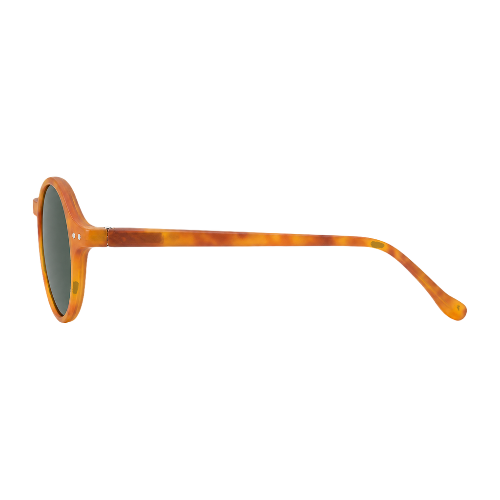 MV Cove — Browline Sunglasses side