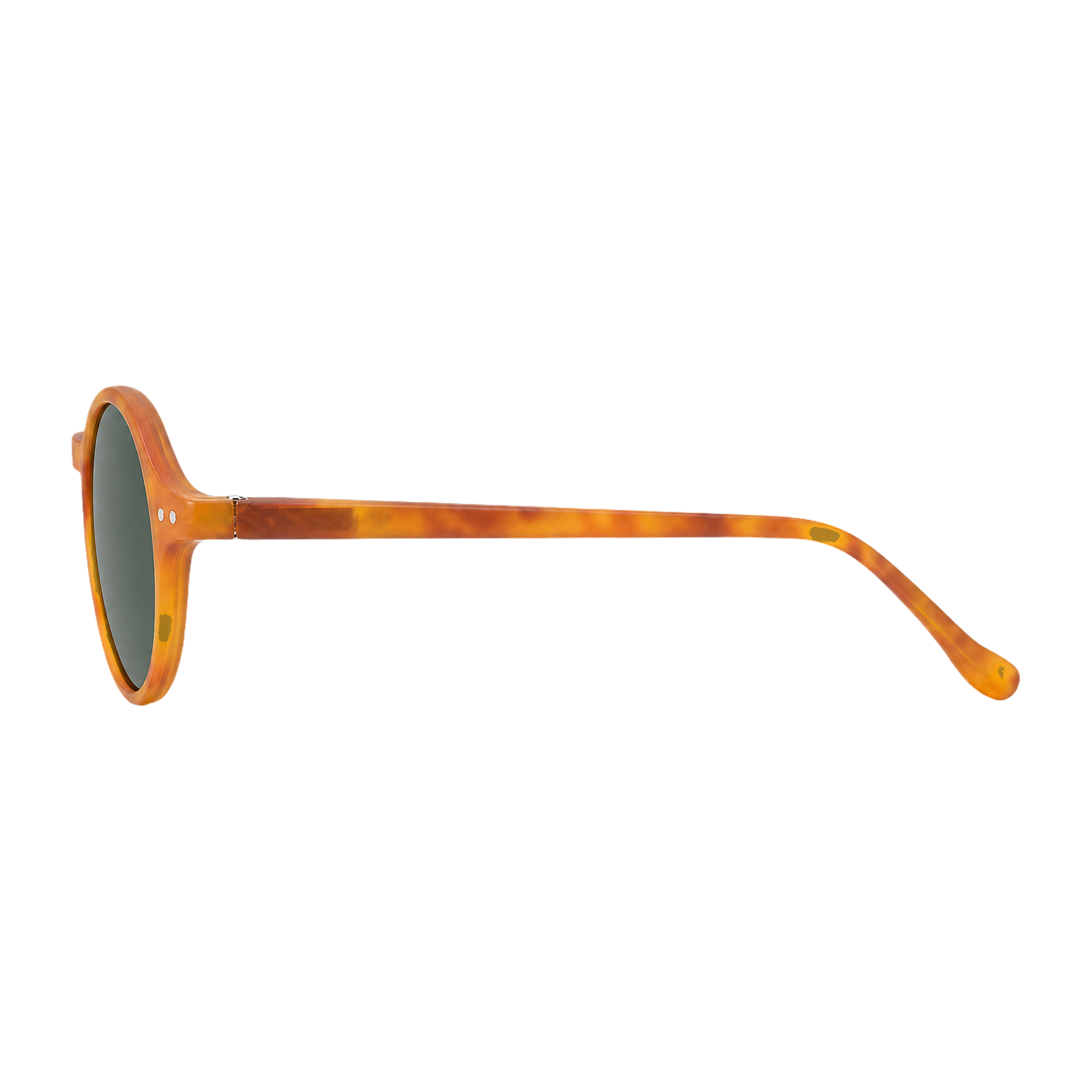 MV Cove — Browline Sunglasses side